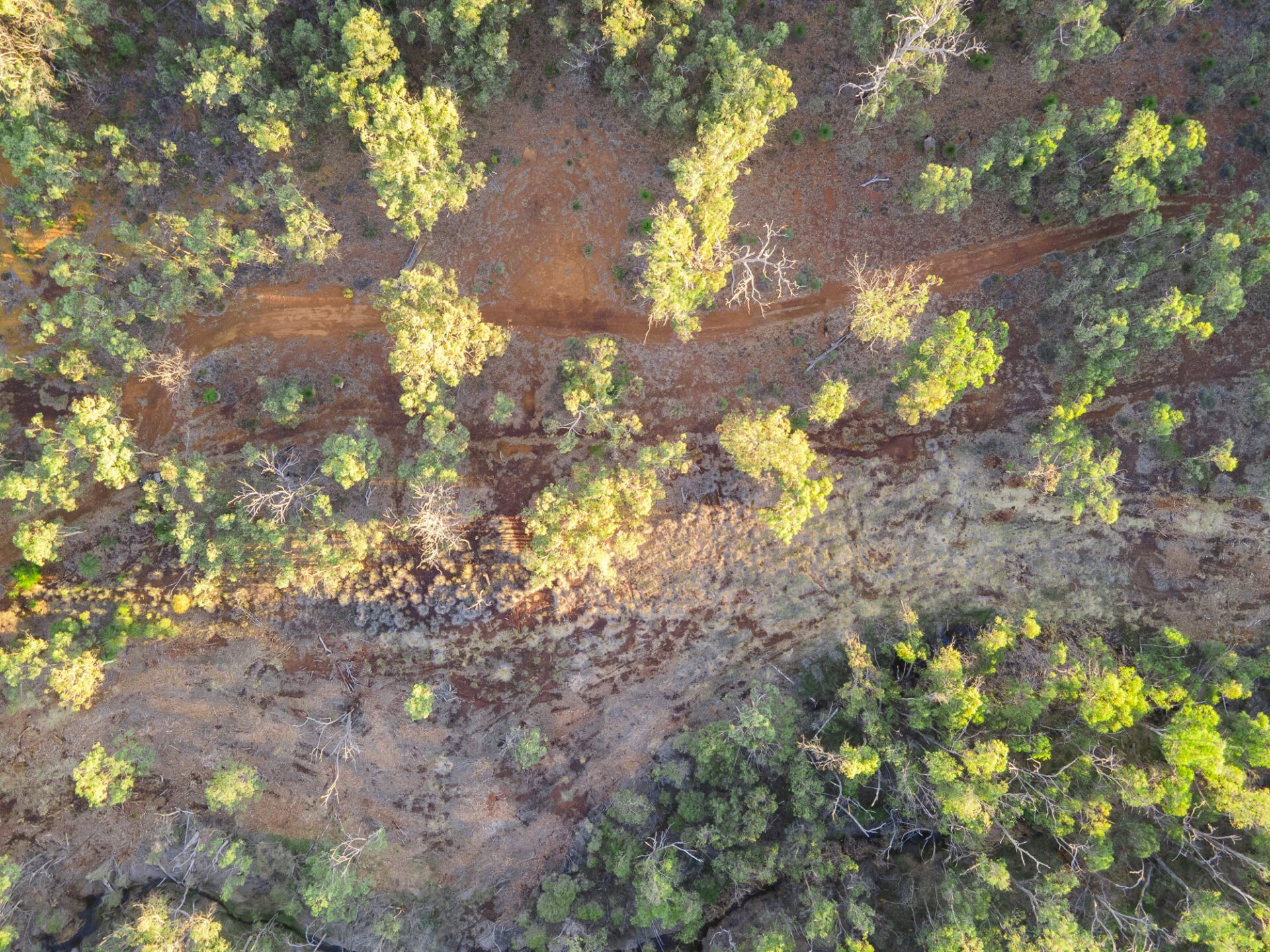Aerial view of a paintball field in Perth